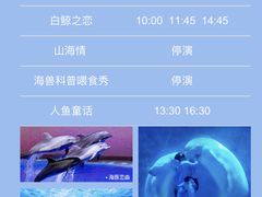-上海海昌海洋公园