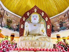 -龙口南山旅游景区