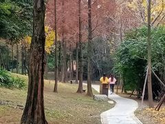 -金沙遗址博物馆
