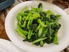 清炒油麦菜-椿记烧鹅(叠彩店)