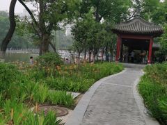 -莲湖公园