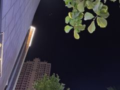 -风波庄(罍街分舵)