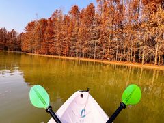 -上海海湾国家森林公园