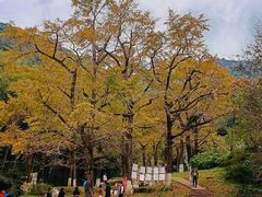 -长兴八都岕景区