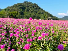 -广州市石门国家森林公园