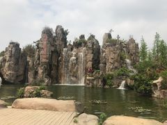 -秀丽东方