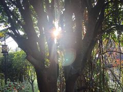 店内环境-燕子湖农庄