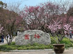 -上海海湾国家森林公园