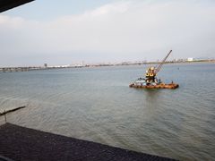 -大湾区中央湿地公园