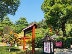 -森波拉火山温泉