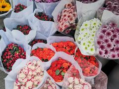 -循礼门鲜花花市(武汉循礼门店)