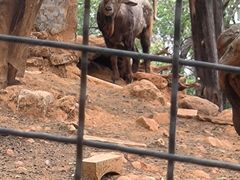 -昆明动物园