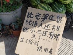 -瑞丽独树成林风景区