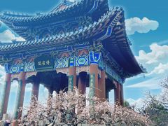 -梅花山(明孝陵内)