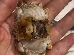 -星伦多自助料理·涮烤一体(虹悦城店)