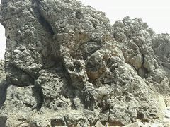 android_upload_pic-龙坑生态保护区