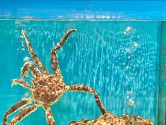 -许家菜.艺创菜(仁和新城店)