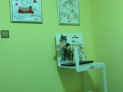 -瑞鹏宠物医院·爱宠堂·骨外专科(西荷分院)