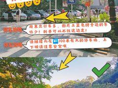 -广州市帽峰山景区