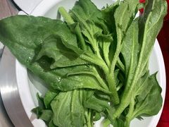 -龍歌自助小火锅(雨花台江南虹悦城店)