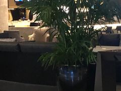 -天津东凯悦酒店