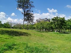 -风云岭森林公园