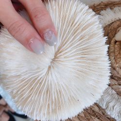 -Girl's Club·Nail·Beauty