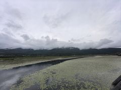 -腾冲北海湿地