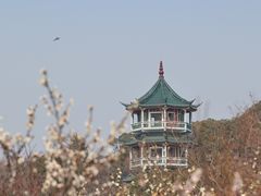 -无锡梅园公园