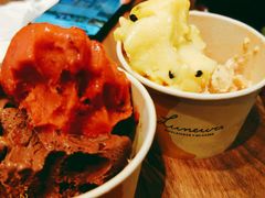 -LUNEURS月乐诗·法式冰淇淋(环贸店)