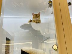-扭扭城(王府井喜悦购物中心店)
