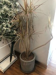 -THE LOG SALON 记录