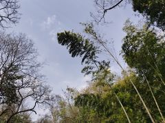 -WeLope紫金山探险公园