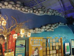 -烟台海昌鲸鲨海洋公园