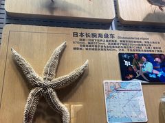 -青岛海底世界-水族馆