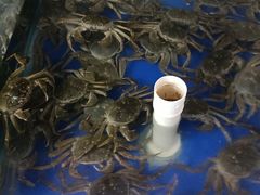 -阳澄湖大闸蟹·琼灵阁牌品牌连锁(吴中总店)