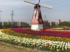 -菊园百果园