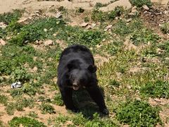 -大连森林动物园