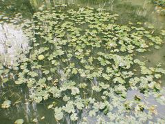 -杭州城北体育公园