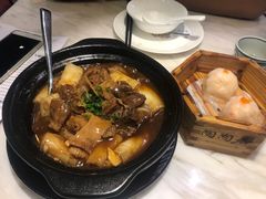 -广州都市观光巴士(粤陶巴)
