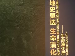 -湖南省地质博物馆