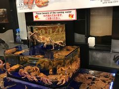 -蟹道乐(道顿堀本店)