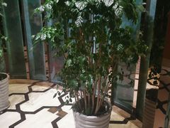 -蜈支洲岛珊瑚酒店临海阁中餐厅