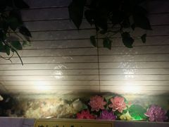 -同仁四季椰子鸡(福田东园总店)