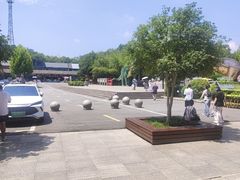 -中国西峡恐龙遗迹园