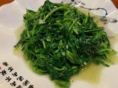 蒜泥茼蒿-喜乐堂(新华西路店)