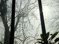 android_upload_pic-1901 Cafe(西四店)