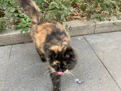 -苏州河梦清园环保主题公园