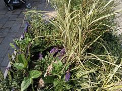 -元大都城垣遗址公园