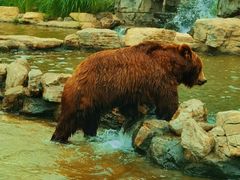 -北京野生动物园